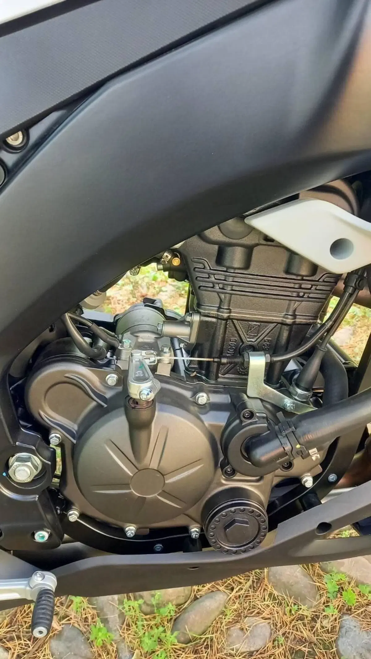 Aprilia Tuono 125 (2021 - 24) (5)
