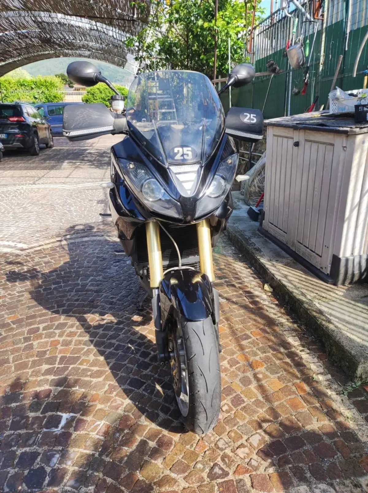 Triumph Tiger 1050 (2006 - 12) (2)