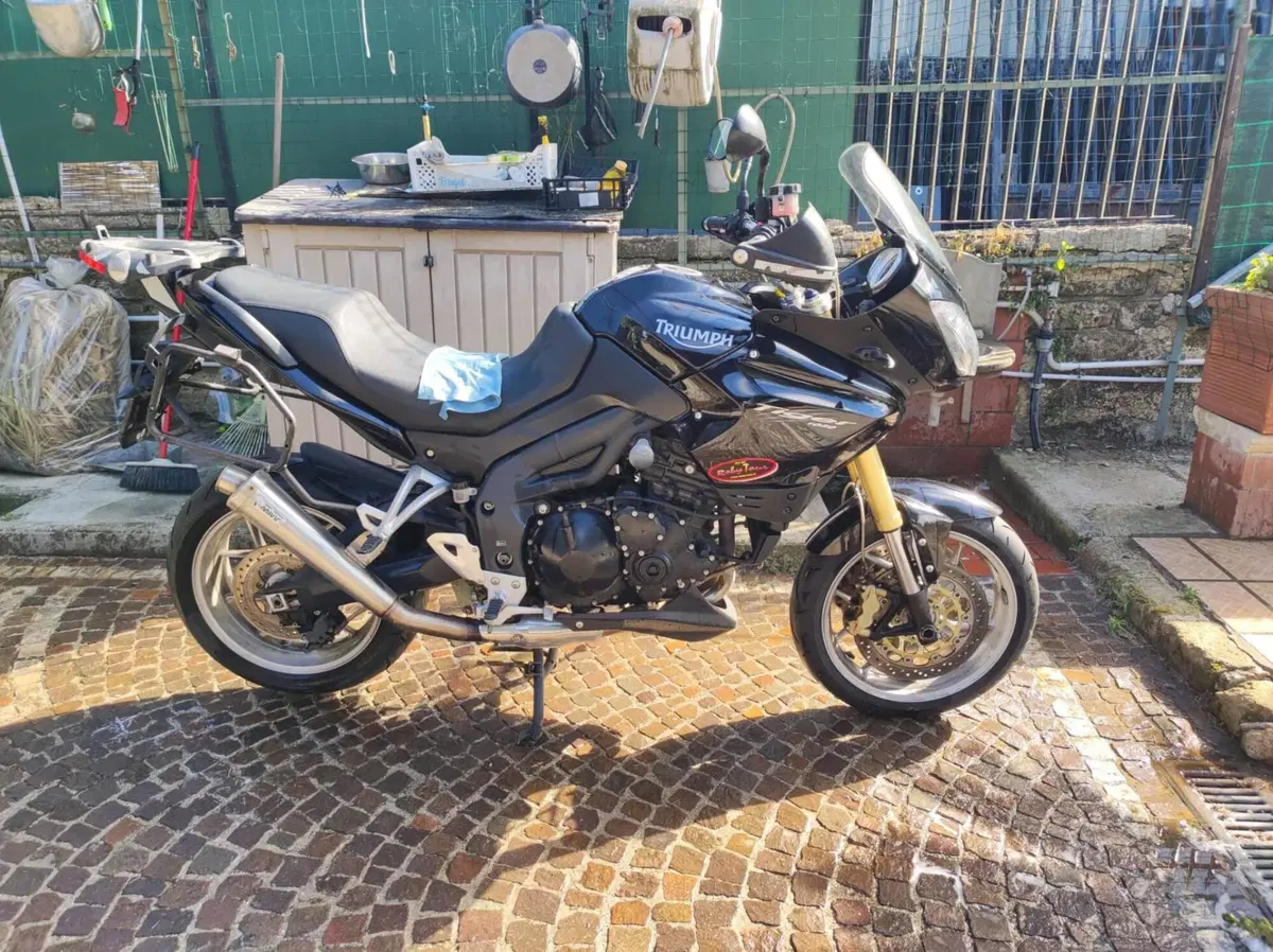 Triumph Tiger 1050 (2006 - 12) (3)