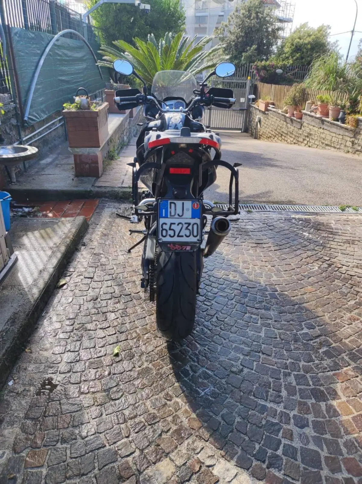 Triumph Tiger 1050 (2006 - 12) (4)