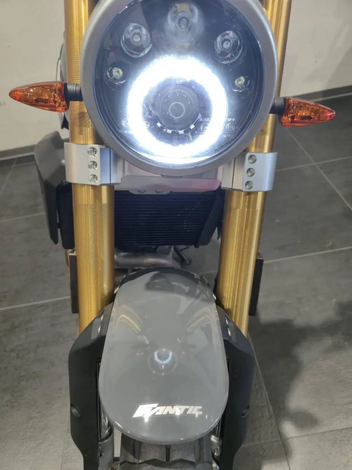 Fantic Motor Caballero 500 Scrambler Deluxe (2021 - 23) (3)