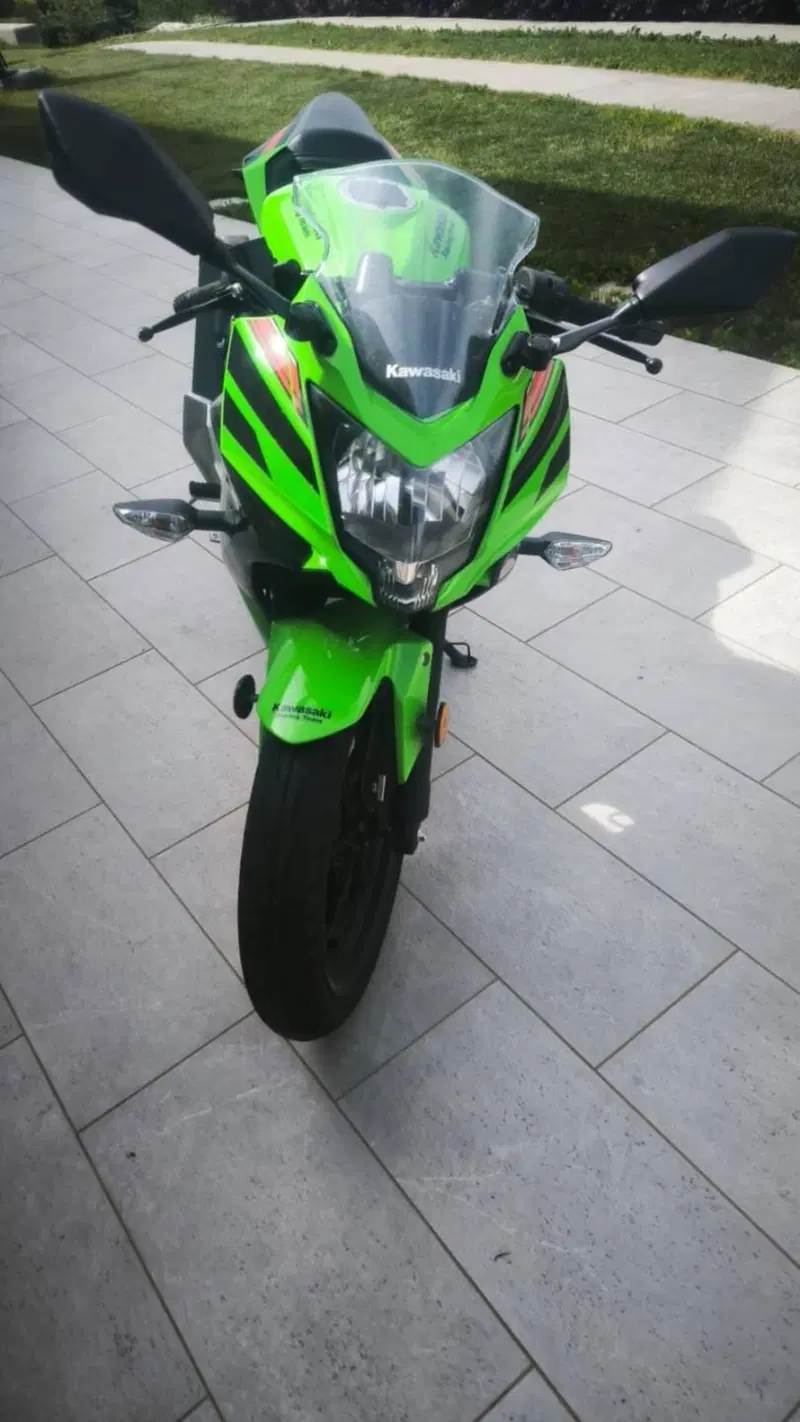 Kawasaki Ninja 125 Performance (2021 - 24) (3)