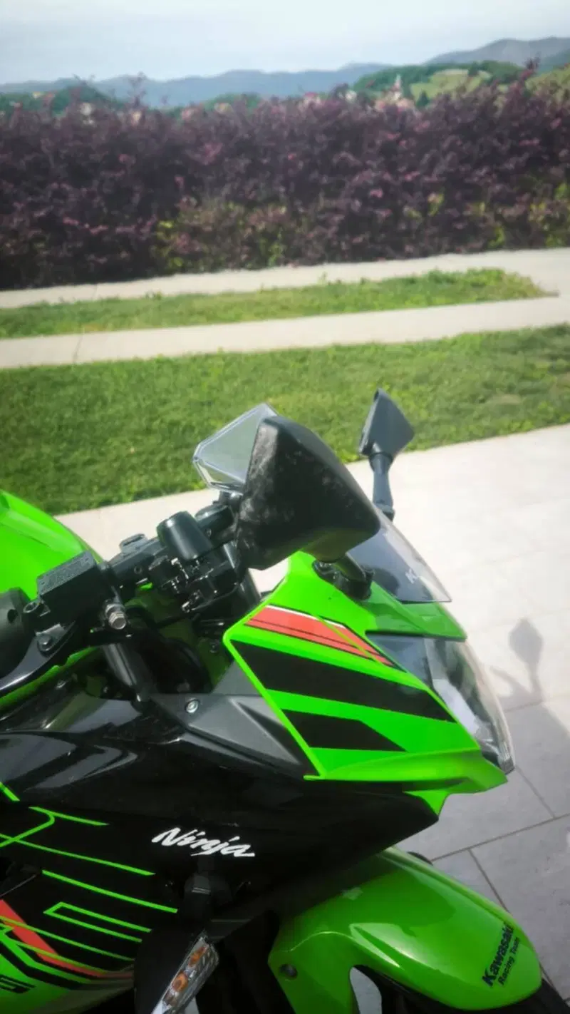 Kawasaki Ninja 125 Performance (2021 - 24) (5)
