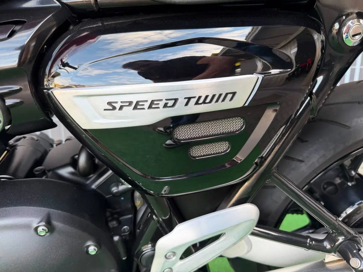Triumph Speed Twin 1200 (2021 - 24) (7)