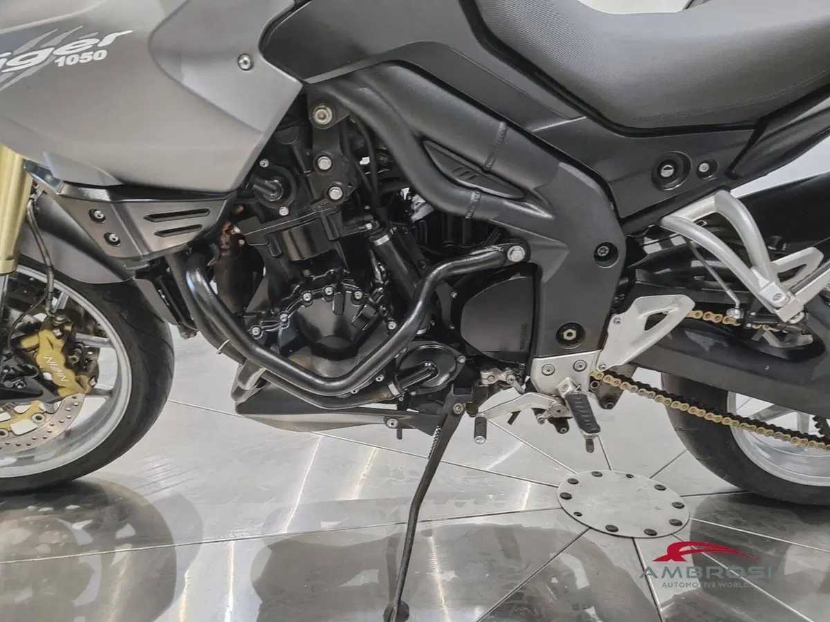 Triumph Tiger 1050 (2006 - 12) (3)