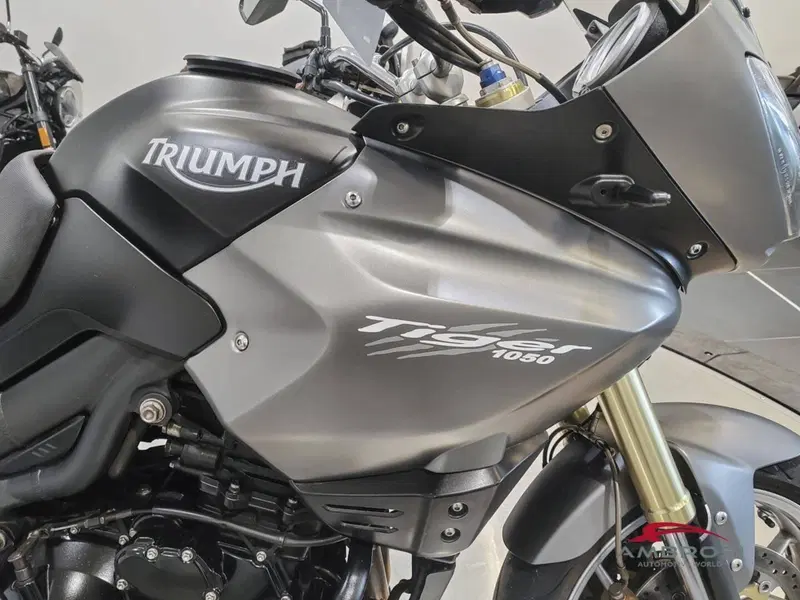 Triumph Tiger 1050 (2006 - 12) (11)