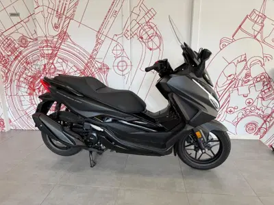 Honda Forza 350 (2022 - 24) usata