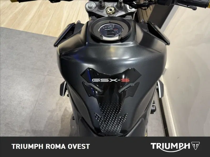 Suzuki GSX-S950 (2021 - 23) (14)