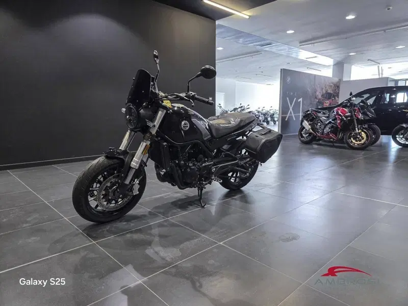 Benelli Leoncino 500 (2021 - 25) (8)