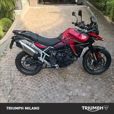 Triumph Tiger 900 GT (2024 - 26) usata