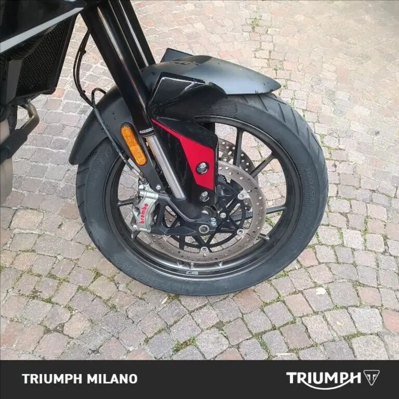 Triumph Tiger 900 GT (2024 - 26) (4)