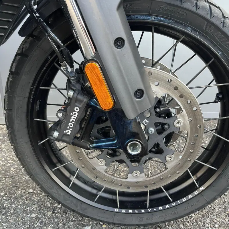 Harley-Davidson Pan America 1250 Special (2020 - 25) (14)