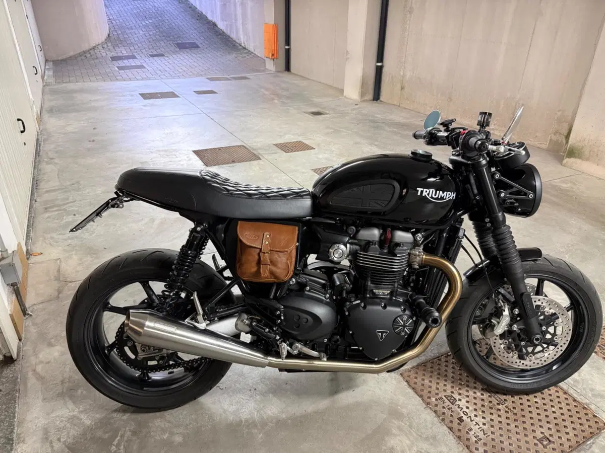 Triumph Speed Twin 1200 (2019 - 20) (3)
