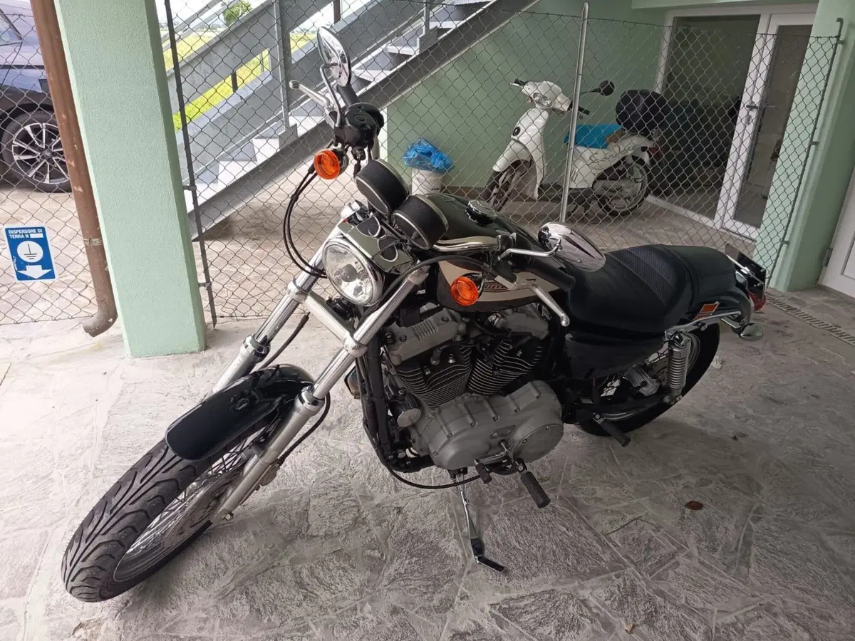 Harley-Davidson 1200 Roadster (2002 - 05) - XL 1200R