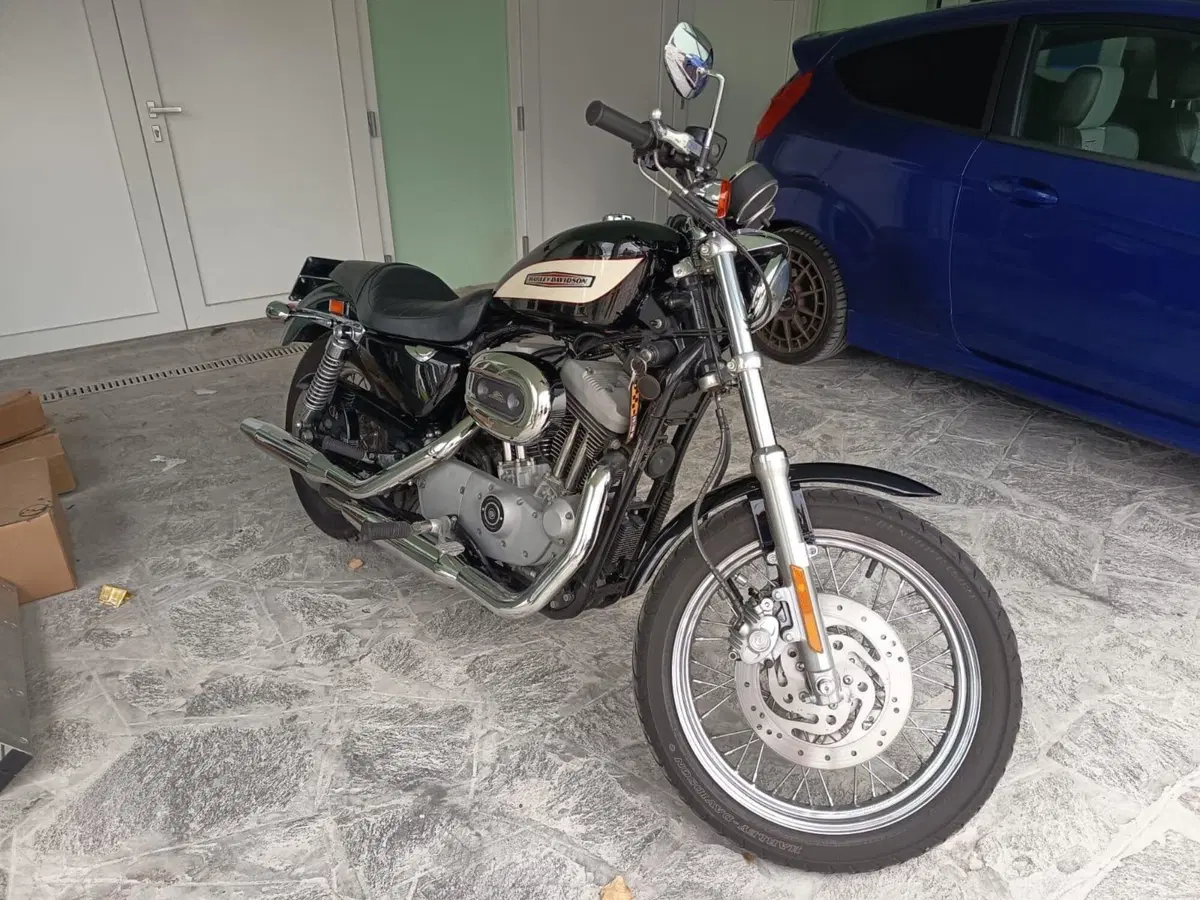 Harley-Davidson 1200 Roadster (2002 - 05) - XL 1200R (2)