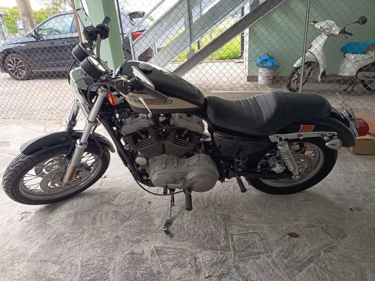 Harley-Davidson 1200 Roadster (2002 - 05) - XL 1200R (3)