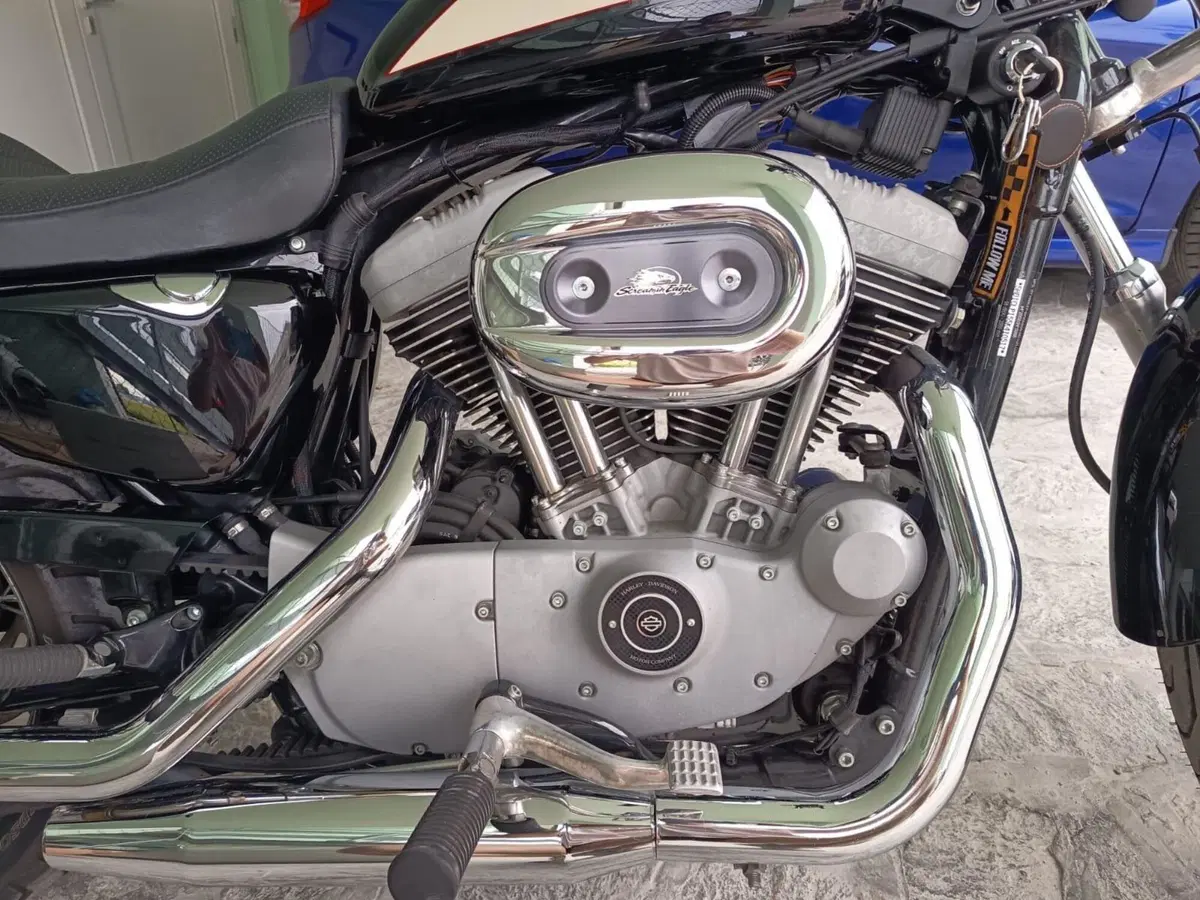 Harley-Davidson 1200 Roadster (2002 - 05) - XL 1200R (5)