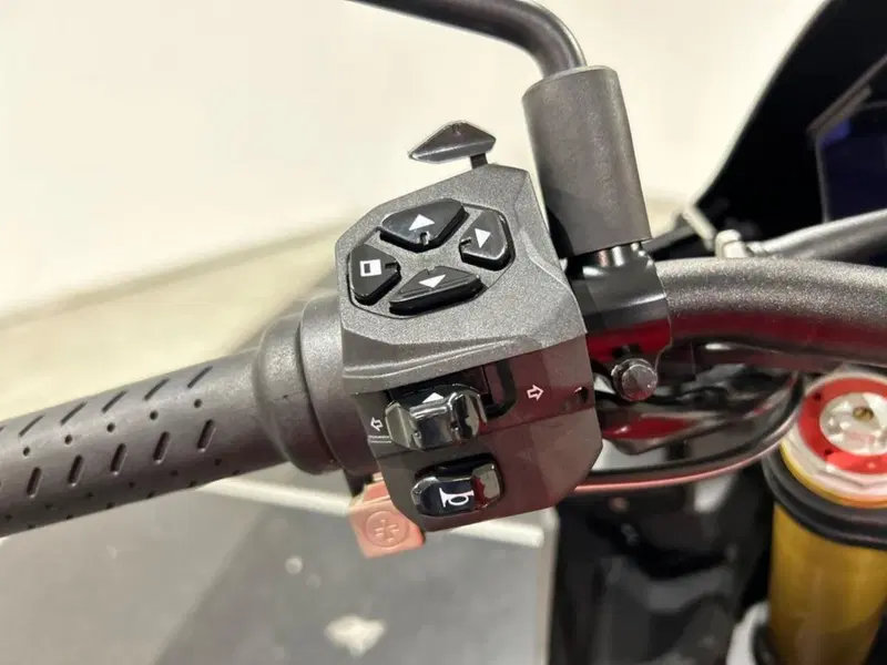 Aprilia Tuono V4 (2021 - 24) (7)