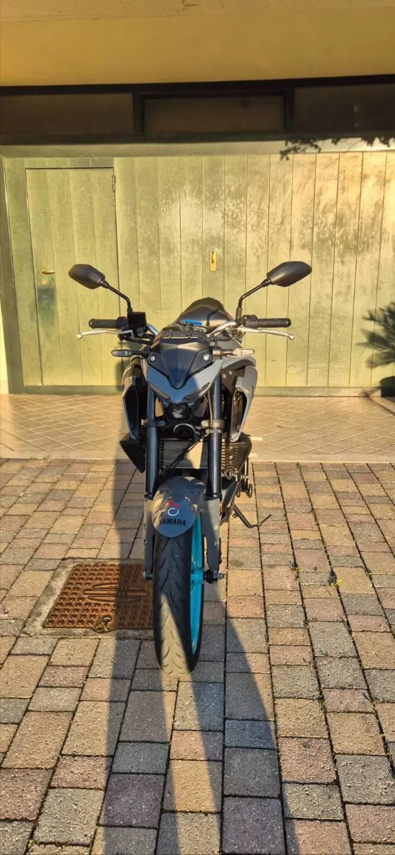 Yamaha MT-03 (2022 - 24) (3)