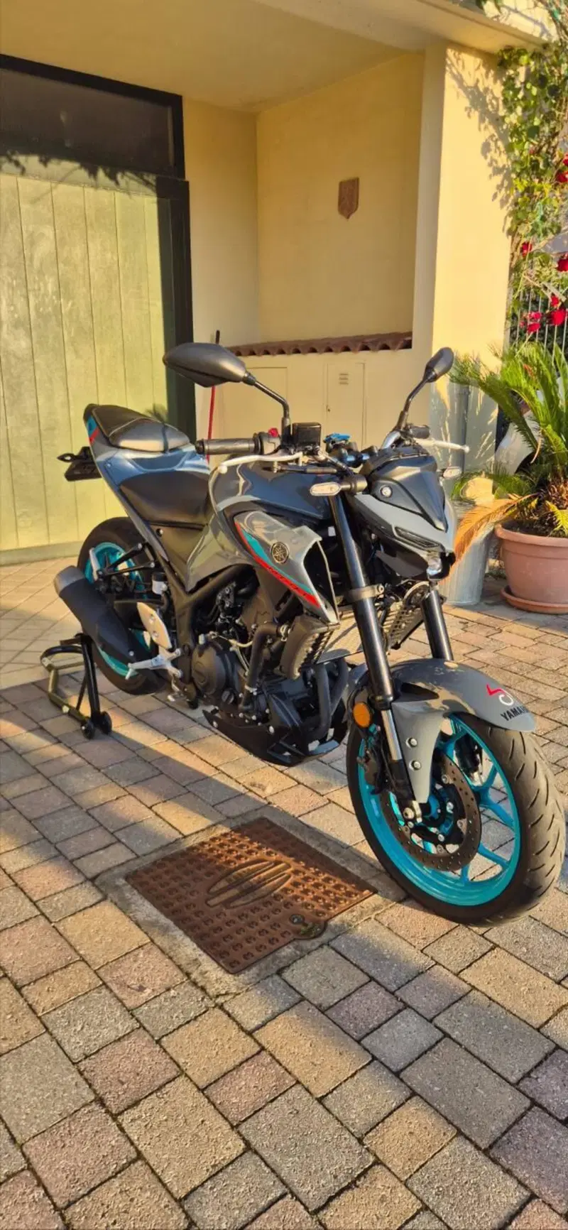 Yamaha MT-03 (2022 - 24) (5)