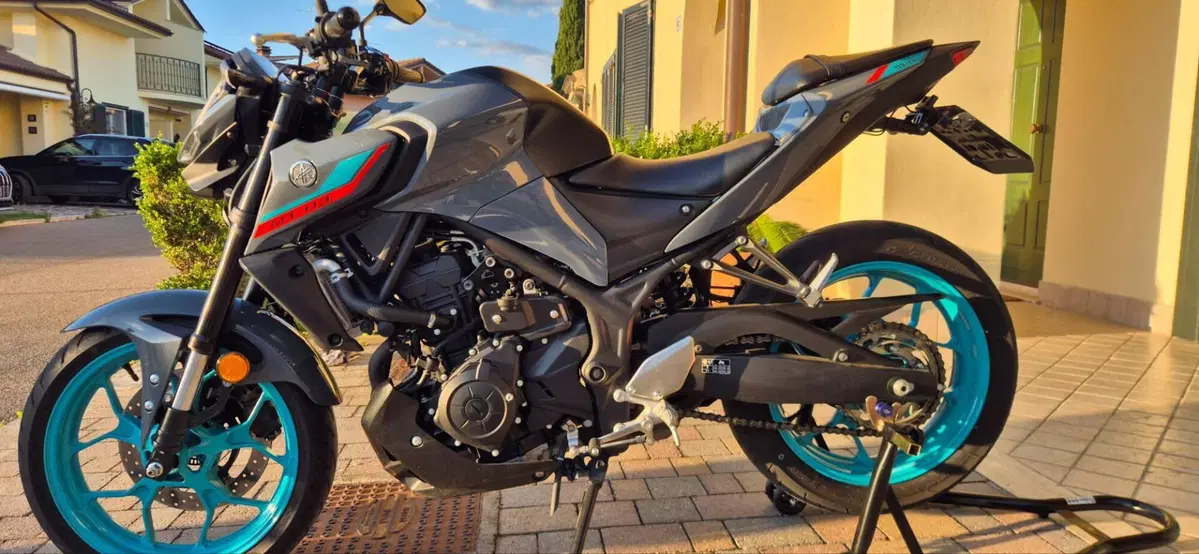 Yamaha MT-03 (2022 - 24) (6)