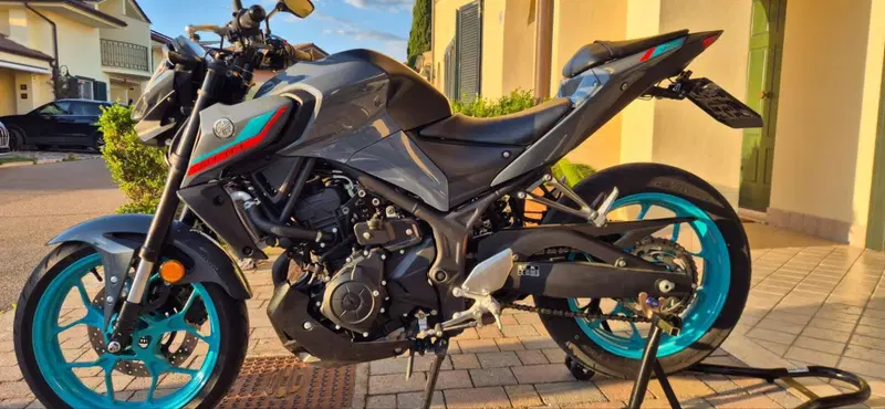 Yamaha MT-03 (2022 - 24) (6)