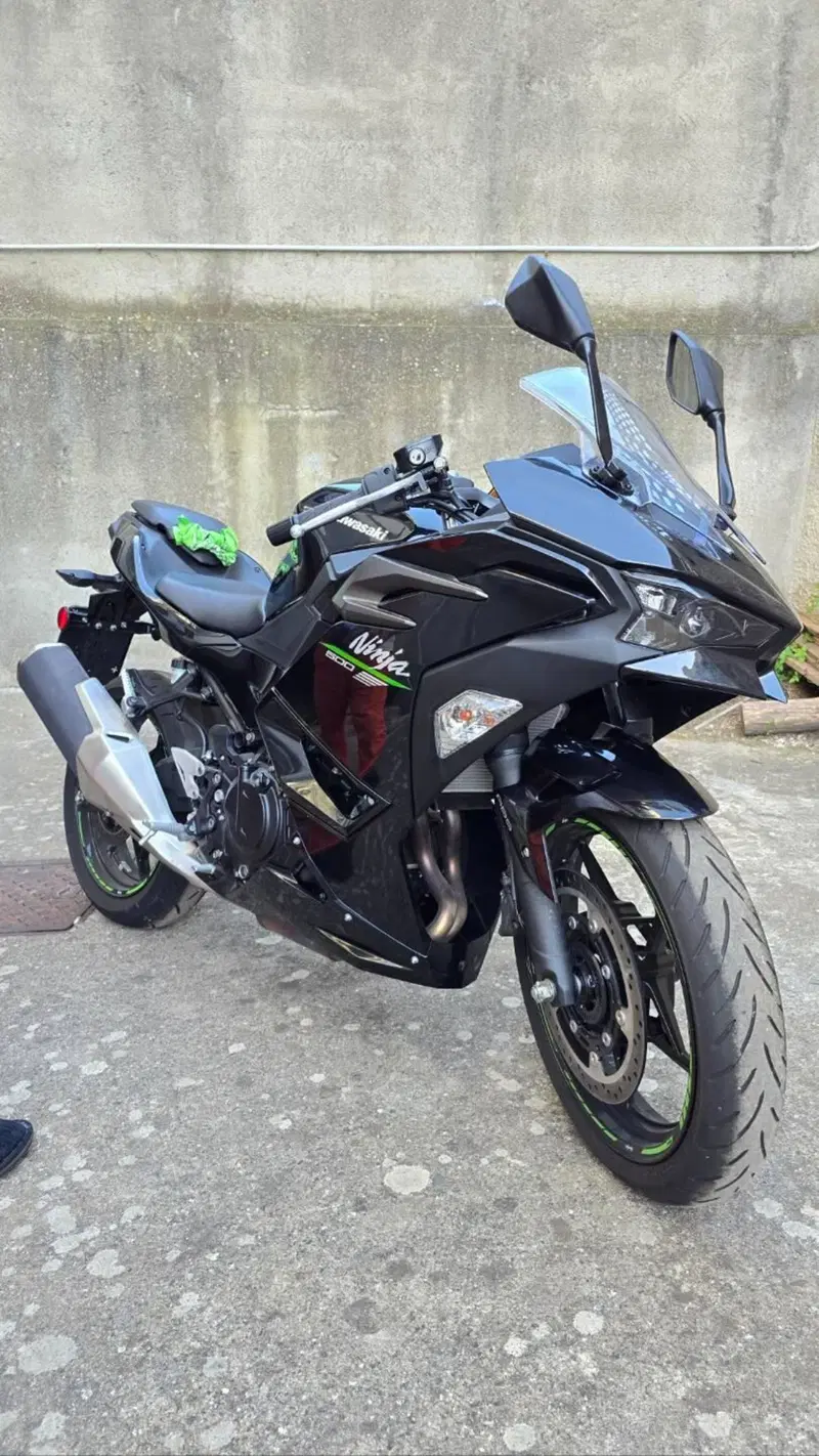 Kawasaki Ninja 500 (2024 - 26)