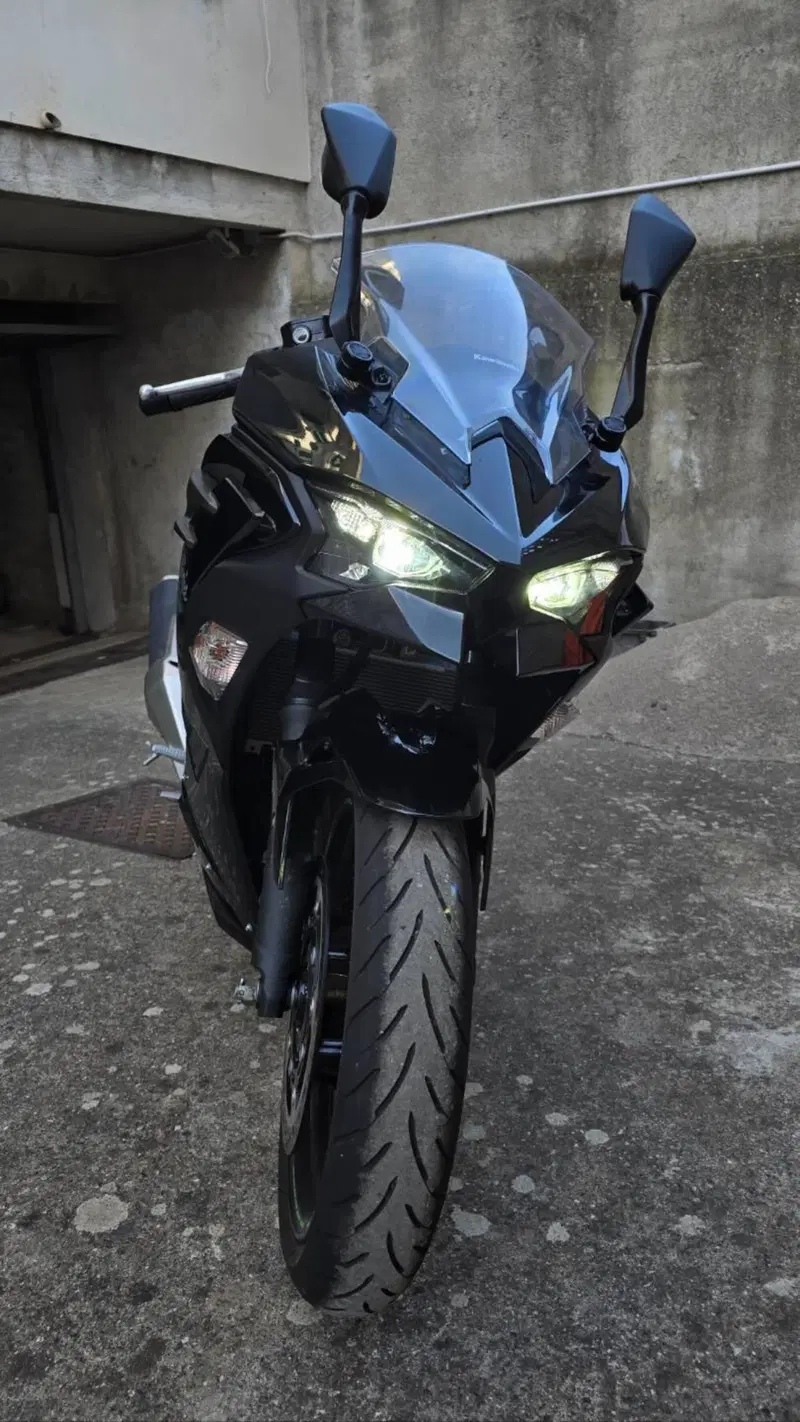 Kawasaki Ninja 500 (2024 - 26) (3)