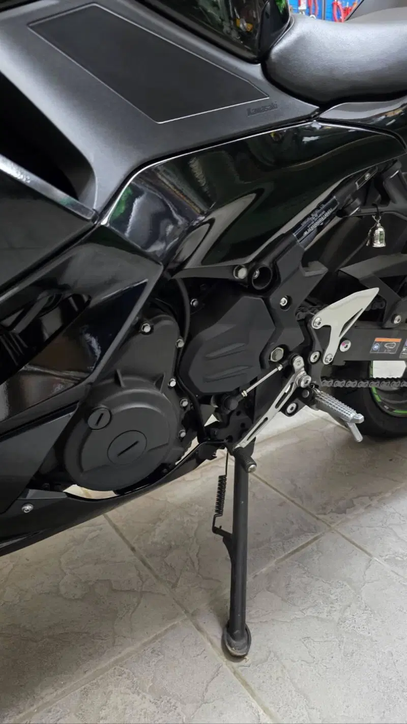 Kawasaki Ninja 500 (2024 - 26) (4)