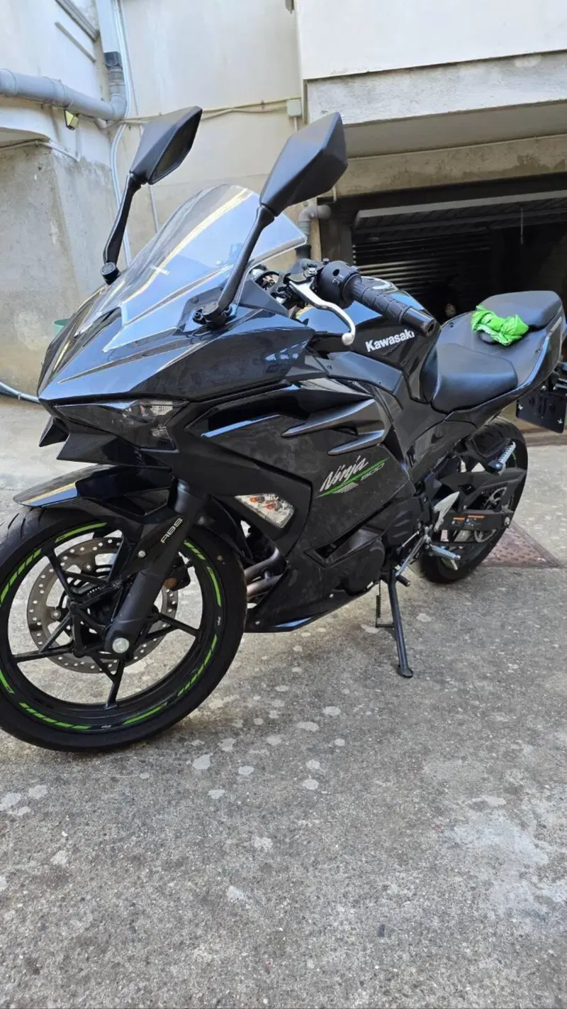 Kawasaki Ninja 500 (2024 - 26) (6)
