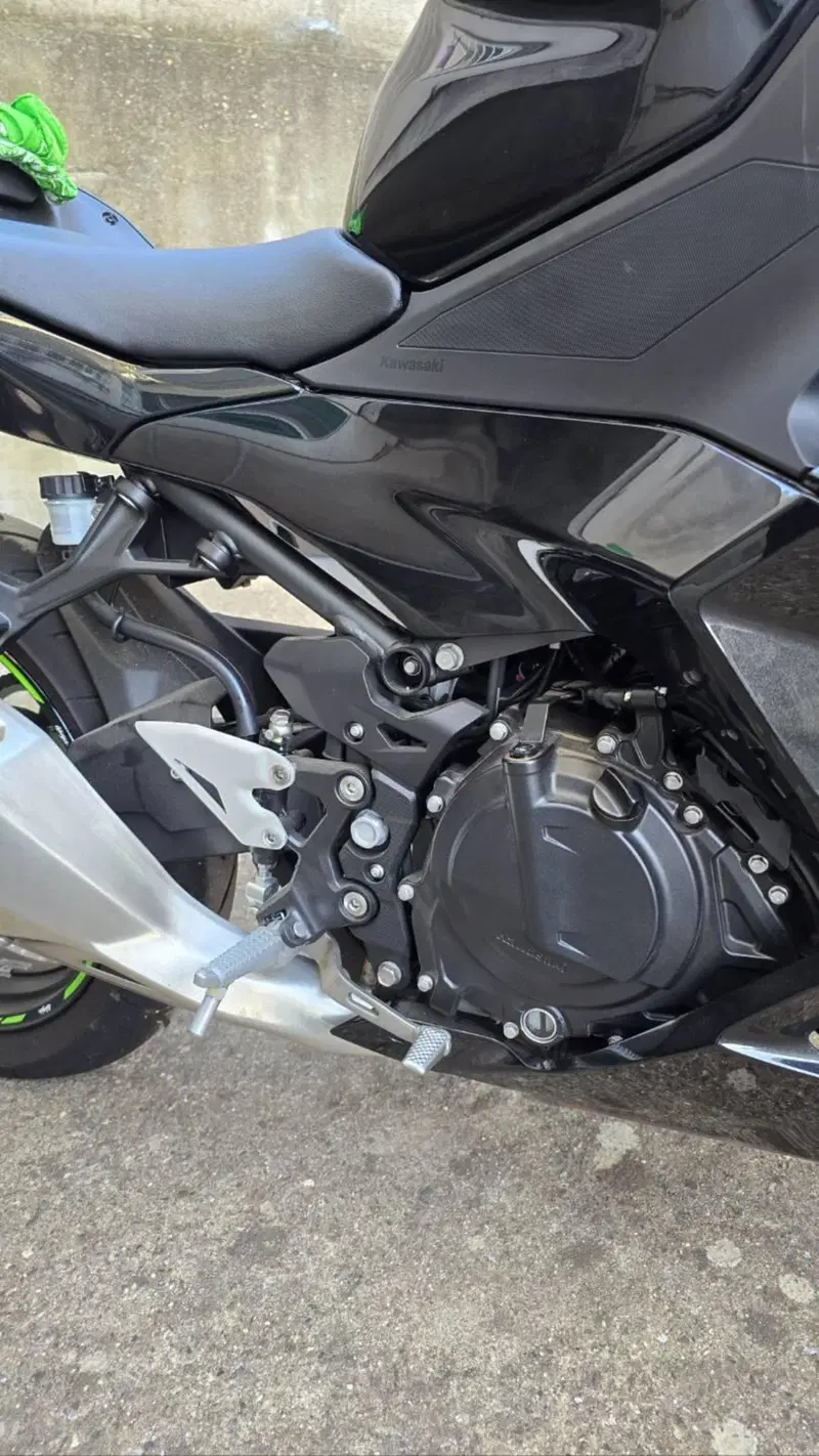 Kawasaki Ninja 500 (2024 - 26) (7)