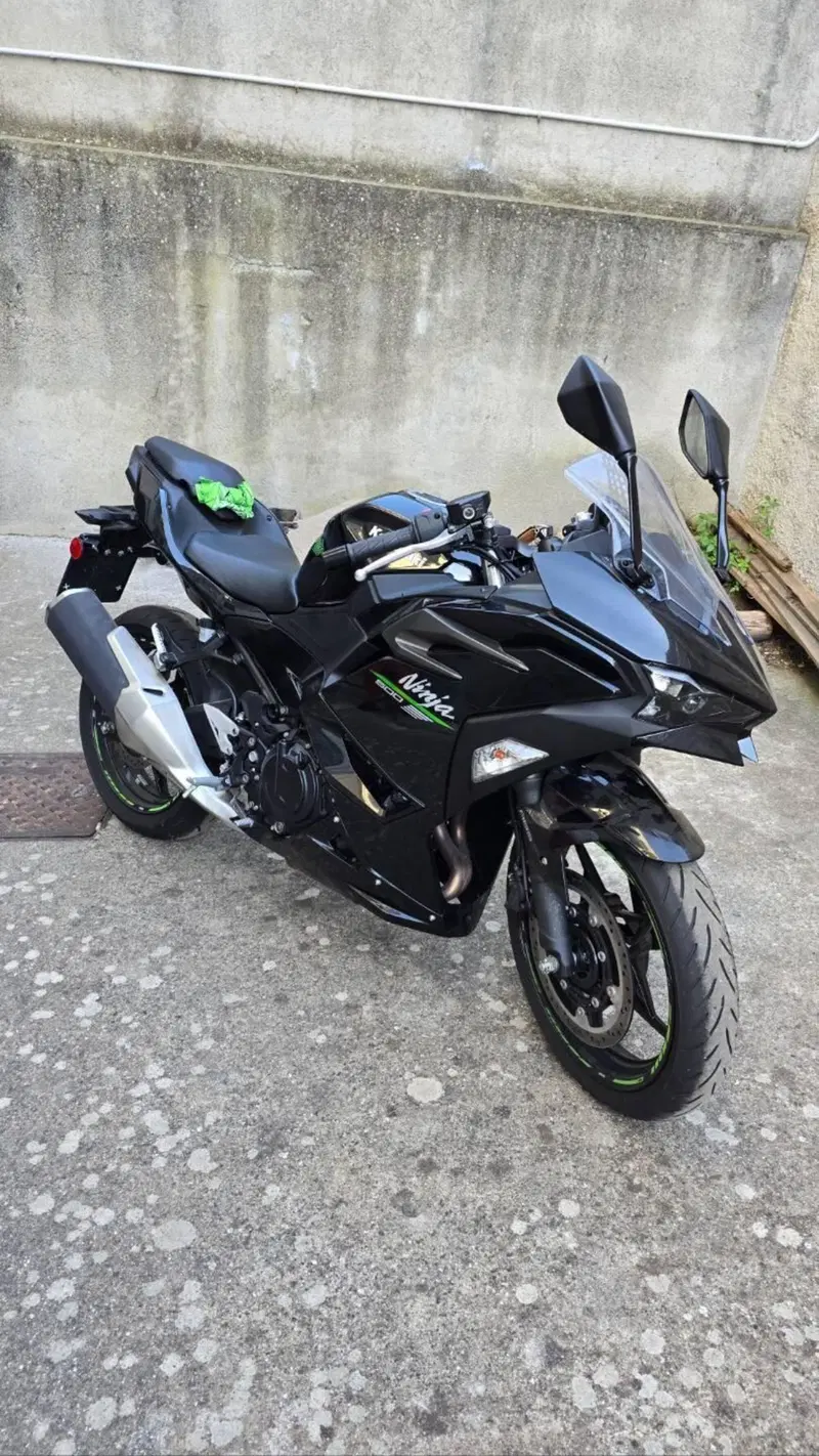 Kawasaki Ninja 500 (2024 - 26) (8)