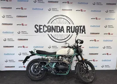 Royal Enfield Bear 650 (2025 - 26) usata