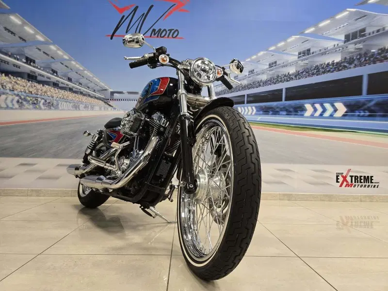 Harley-Davidson 1200 Custom (2004 - 06) - XL 1200C (3)