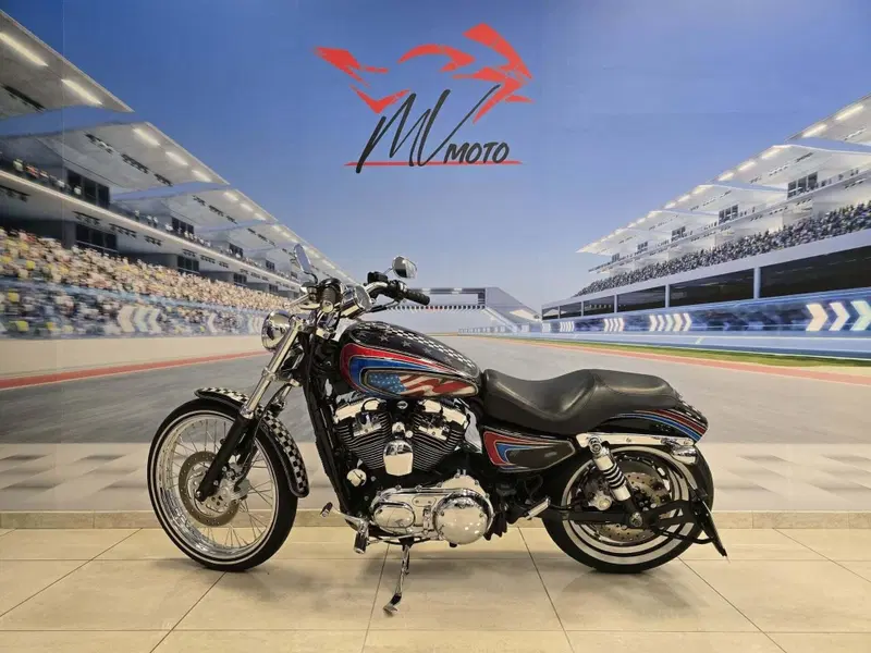 Harley-Davidson 1200 Custom (2004 - 06) - XL 1200C (4)