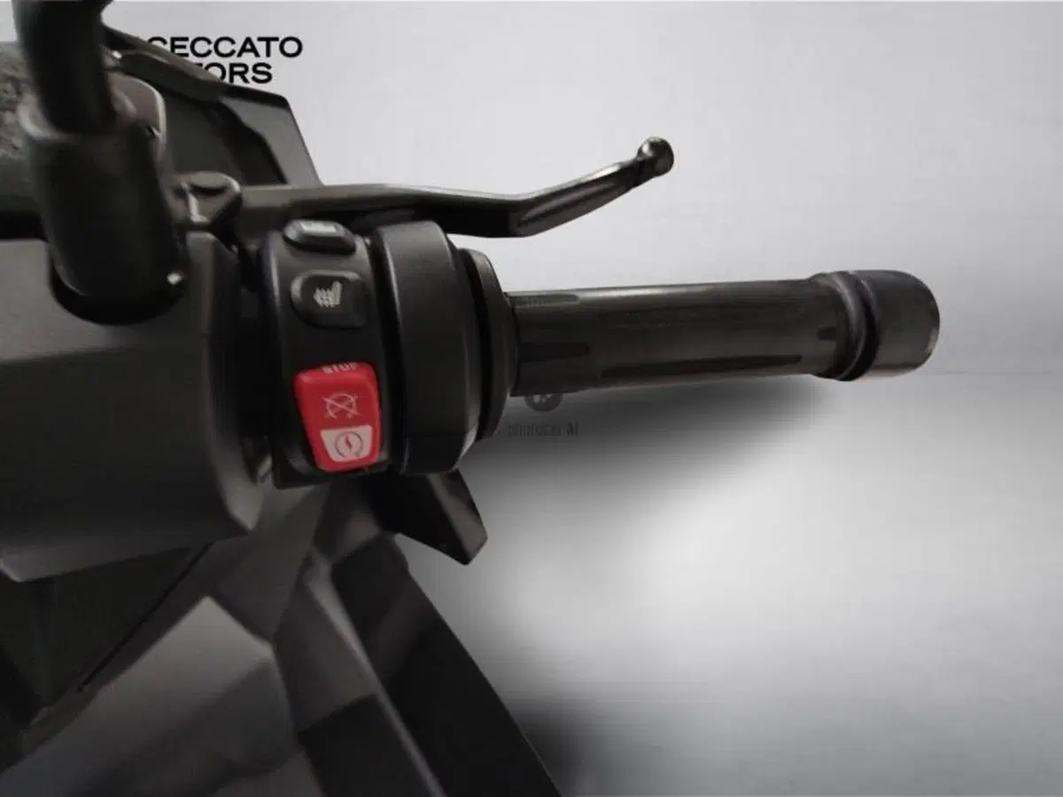 Bmw C 400 X (2021 - 24) (10)