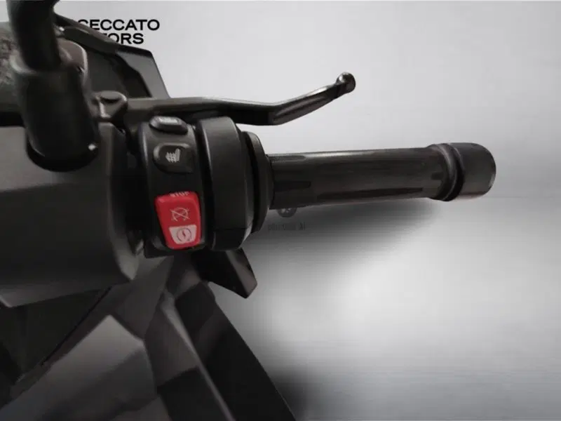 Bmw C 400 X (2021 - 24) (10)