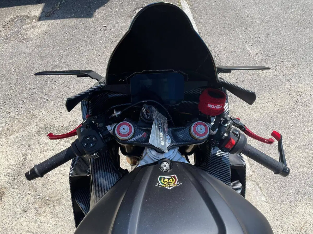 Aprilia RSV4 1100 (2021 - 24) (9)