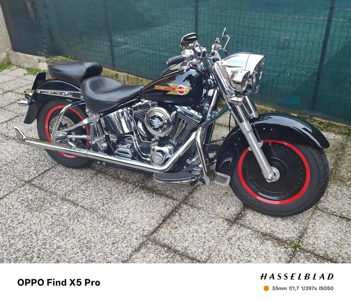 Harley-Davidson 1450 Fat Boy (2003 - 06) - FLSTFI (3)