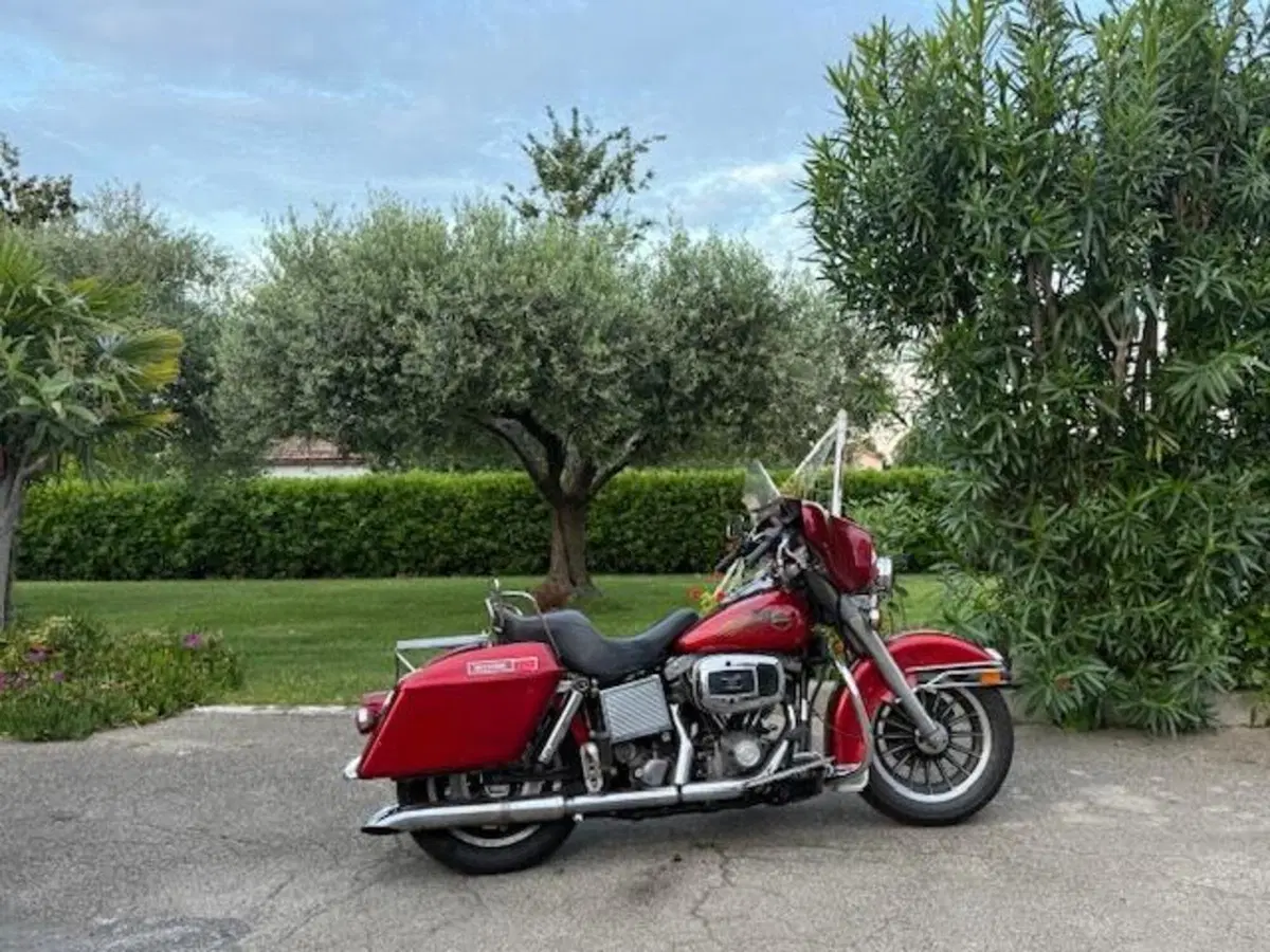 Harley-Davidson 1340 FLH Shovel (2)