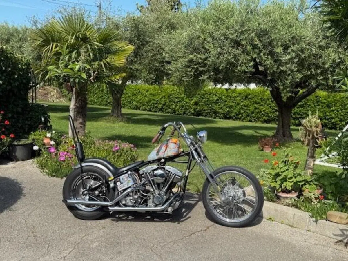 Harley-Davidson chopper shovelhead 1200 (2)