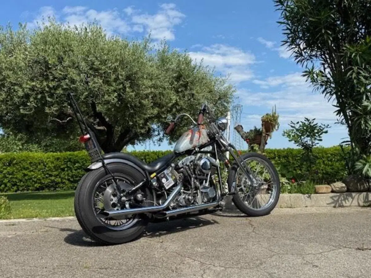Harley-Davidson chopper shovelhead 1200 (3)