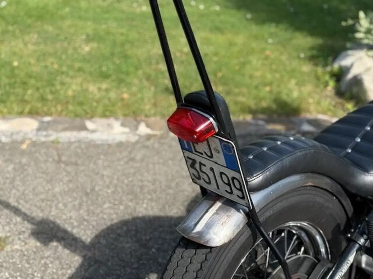 Harley-Davidson chopper shovelhead 1200 (9)