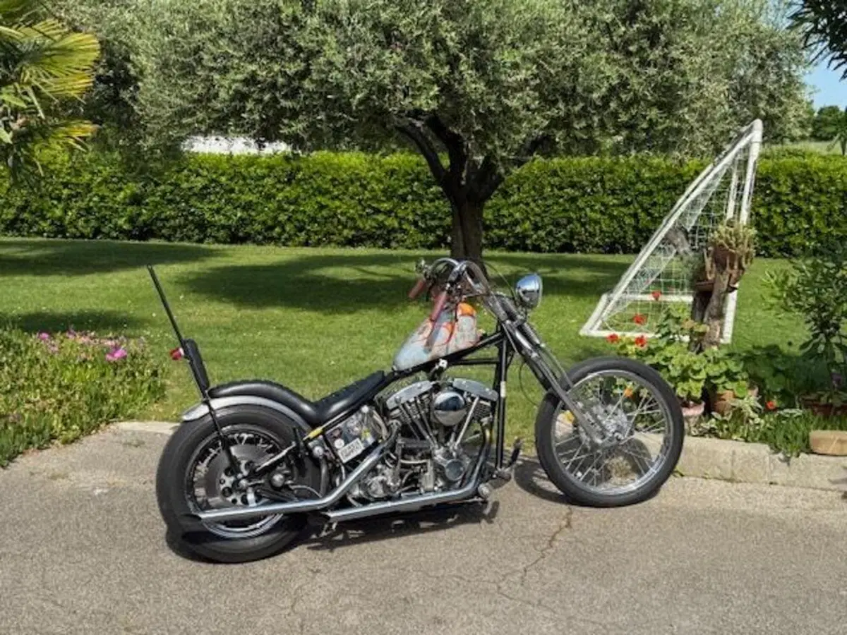 Harley-Davidson chopper shovelhead 1200 (11)