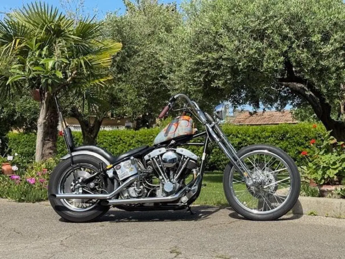 Harley-Davidson chopper shovelhead 1200 (12)