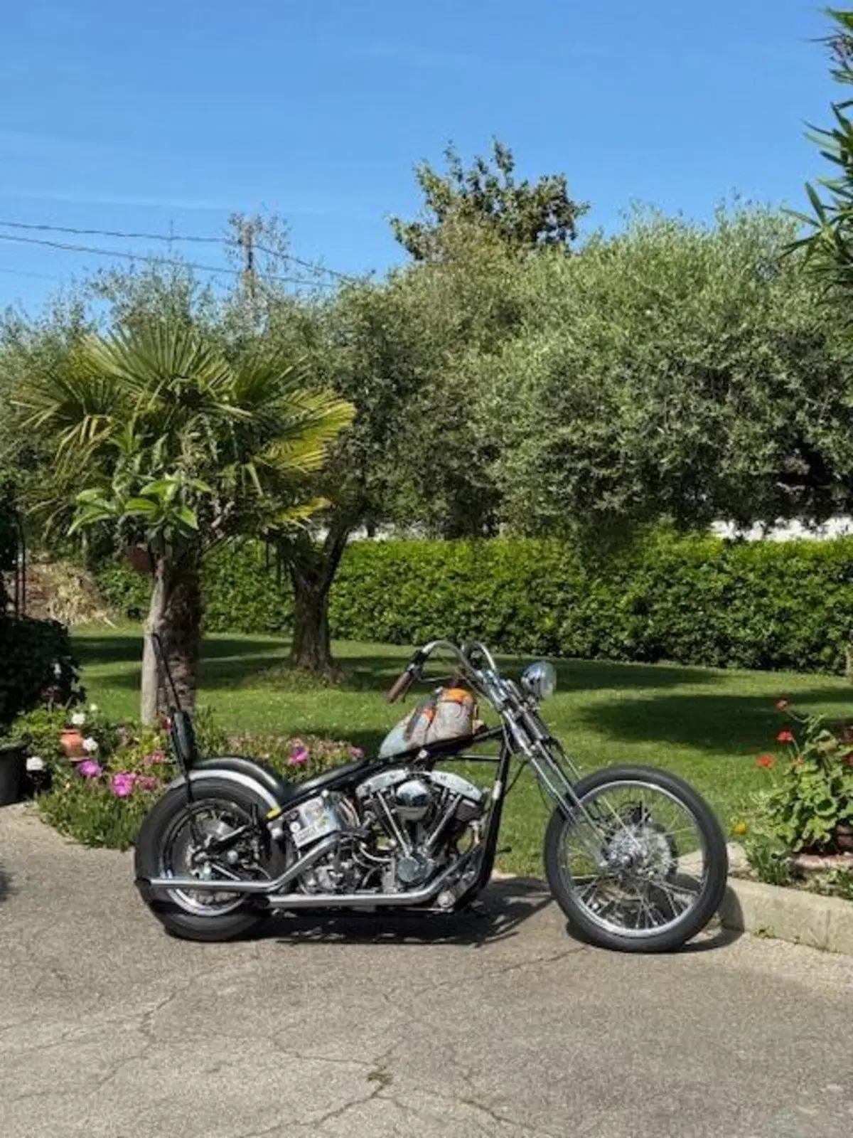 Harley-Davidson chopper shovelhead 1200 (13)