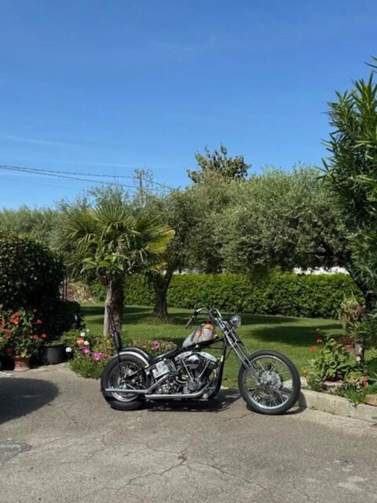 Harley-Davidson chopper shovelhead 1200 (14)