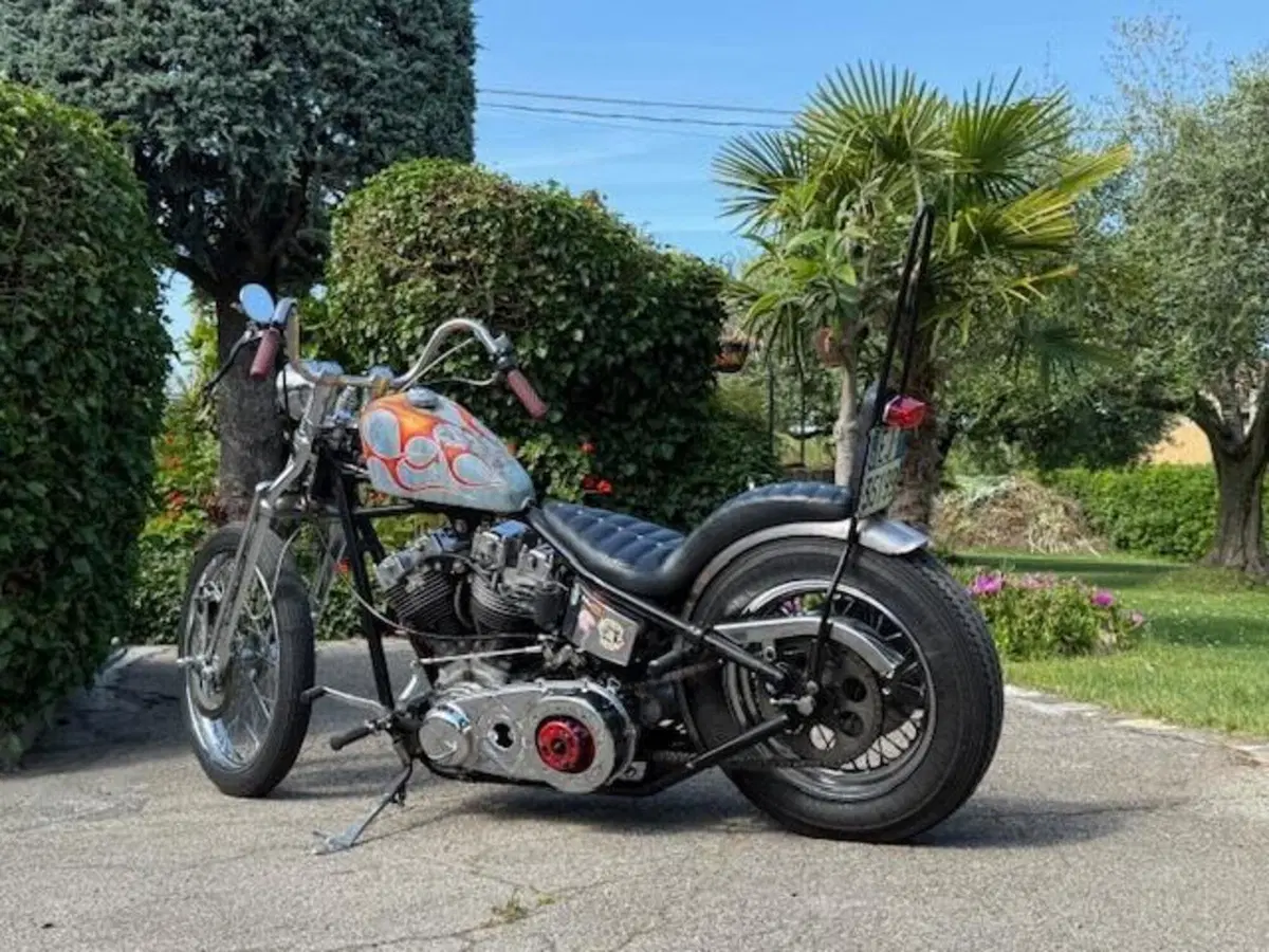 Harley-Davidson chopper shovelhead 1200 (15)