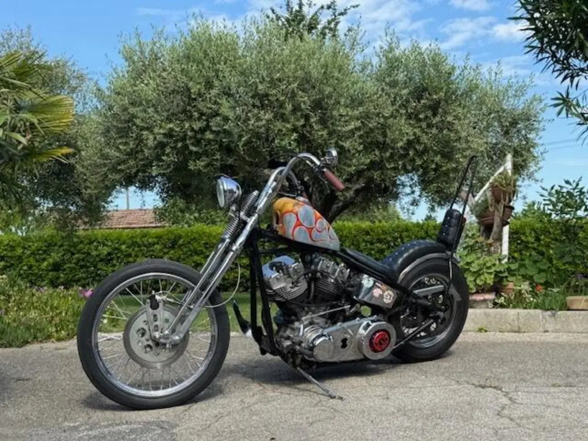 Harley-Davidson chopper shovelhead 1200 (17)