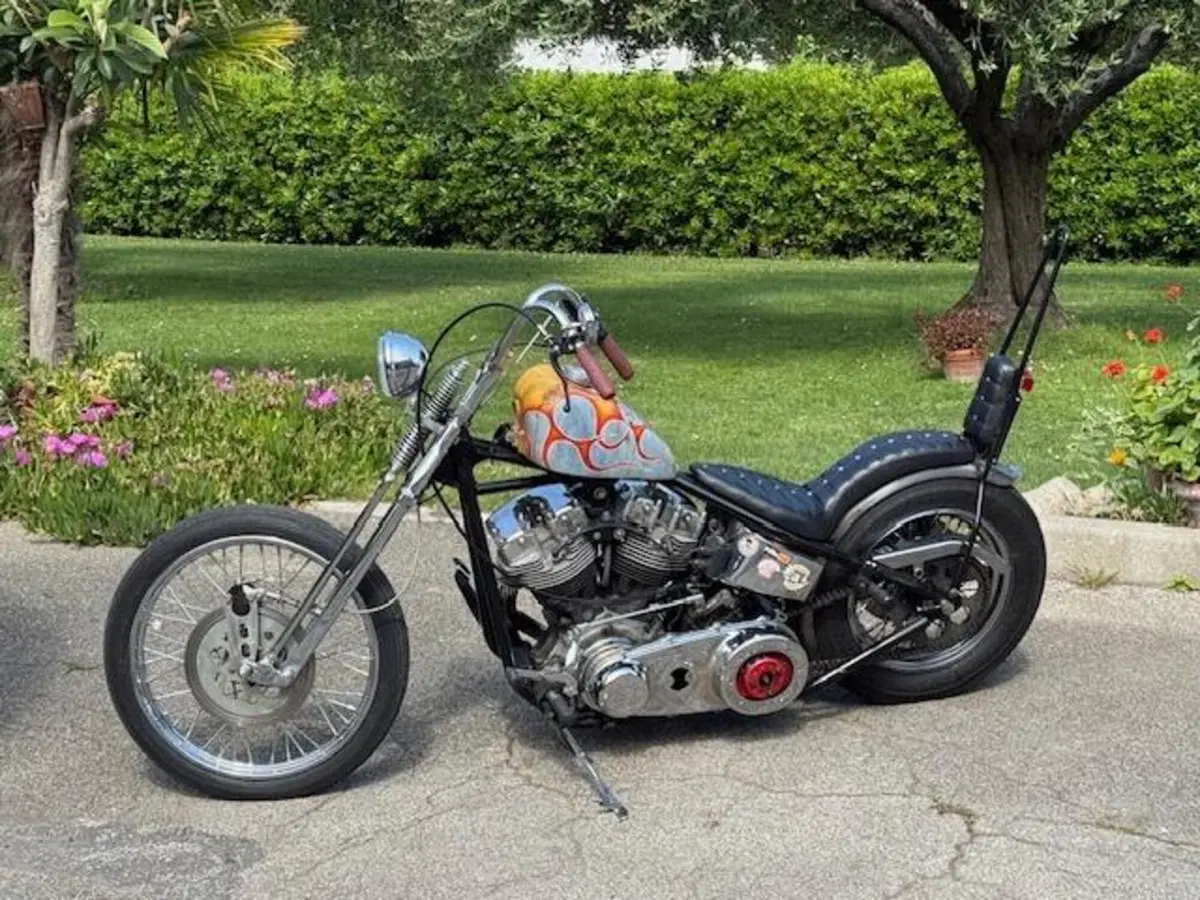 Harley-Davidson chopper shovelhead 1200 (18)